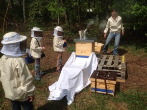 15-04-29 vorbereiteter Schwarmeinlauf Schule Ossi