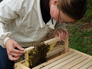 15-05-01 2-Tagesdurchsicht (2)