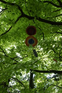 die rhön ist schön